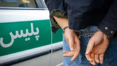 دستگیری کلاهبردار اینترنتی با ترفند انتقال ارز به خارج از کشور
