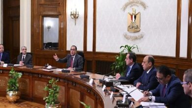 دولت مصر استعفا داد. مدبولی مأمور تشکیل دولت جدید شد