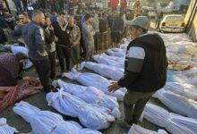 شمار شهدای غزه به ۳۶ هزار و ۳۷۹ نفر افزایش یافت