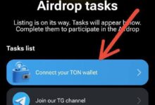عکس نحوه اتصال بازی همستر مبارزه تلگرام با کیف پول Tun Keeper + آموزش تصویری
