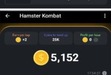 همستر کامبت چیست؟ آموزش کامل Hamster Kombat