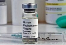 همگانی شدن واکسن HPV: «قاطعانه می‌گویم که هنوز برای عموم لازم نیست»