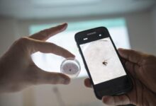 هوش مصنوعی پشه‌های ناقل مالاریا را به دام می‌اندازد!