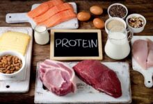 چرا باید هر روز پروتئین مصرف کنیم؟ منابع پروتئین گیاهی و حیوانی
