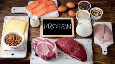 چرا باید هر روز پروتئین مصرف کنیم؟ منابع پروتئین گیاهی و حیوانی