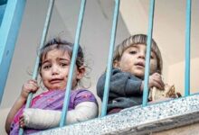 ۳ هزار کودک فلسطینی در خطر جان باختن از گرسنگی هستند