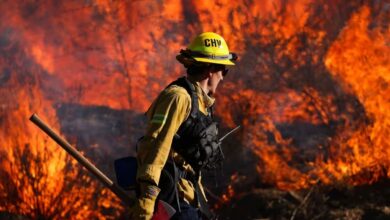 آتش سوزی عظیم در جنگل های غرب آمریکا (فیلم)