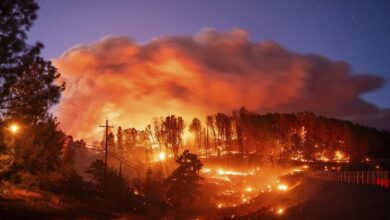 تصاویری از آتش سوزی مهیب در جنگل های کالیفرنیا (فیلم)