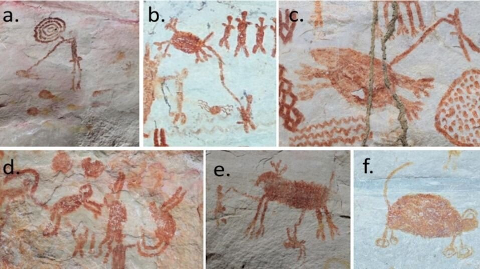 هزاران نقاشی 12000 ساله در اعماق تاریک آمازون / عکس