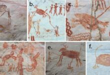 هزاران نقاشی 12000 ساله در اعماق تاریک آمازون / عکس