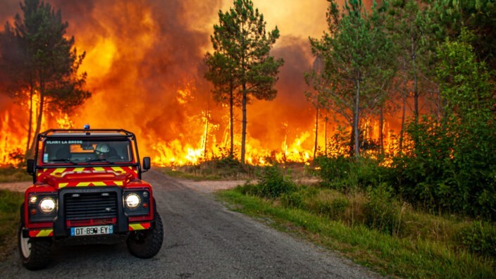 آتش ، بسیاری از جنگل‌های اروپایی را درنوردید