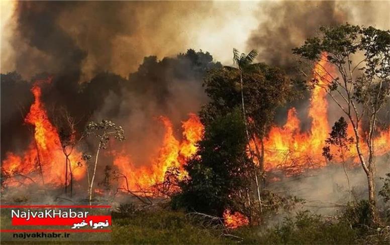 دود بلندِ آتش سوزی در جنگل‌های زاگرس/ مردم محلی: چرا تلاشی برای اطلاع‌رسانی و کمک نمی‌شود؟ :: نجوا خبر