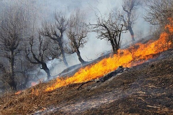 شناسایی ۲۱ مقصر آتش سوزی جنگل‌های کهگیلویه و بویراحمد
