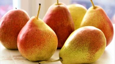 کاهش «کلسترول بد» با یک میوه معجزه گر