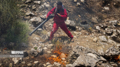 ویدئویی جدید از تلاش نیروهای مردمی برای مهار آتش طبیعی پشته زرنگوش بدره