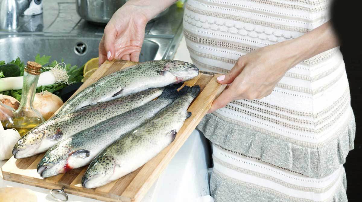 کدام ماهی در دوران بارداری مصرف شود؟