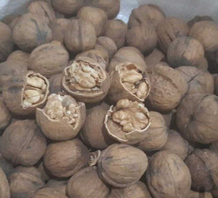 فروش عجیب میوه های تابستانی در تهران قدیم; ای فرار کن فالی پنزار (+عکس)