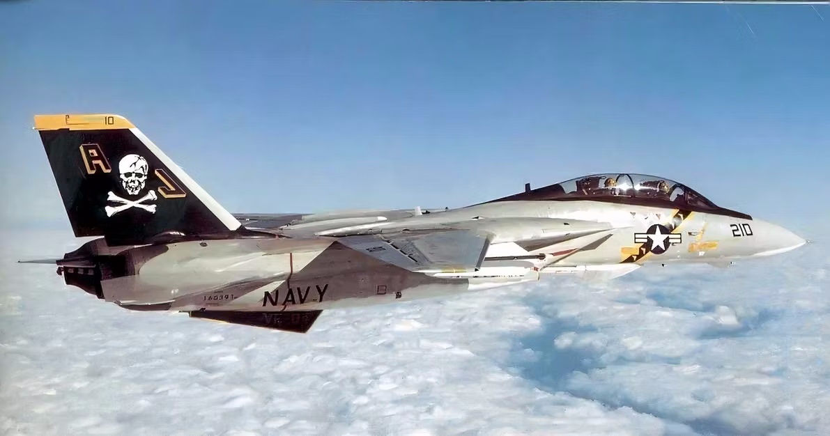 رویارویی F-14 Tomcat و Mig-29; چه کسی در مبارزه پیروز خواهد شد؟