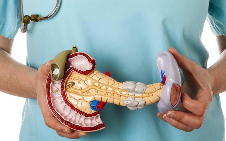 سرطان پانکراس؛ علل، علائم و روش های درمان