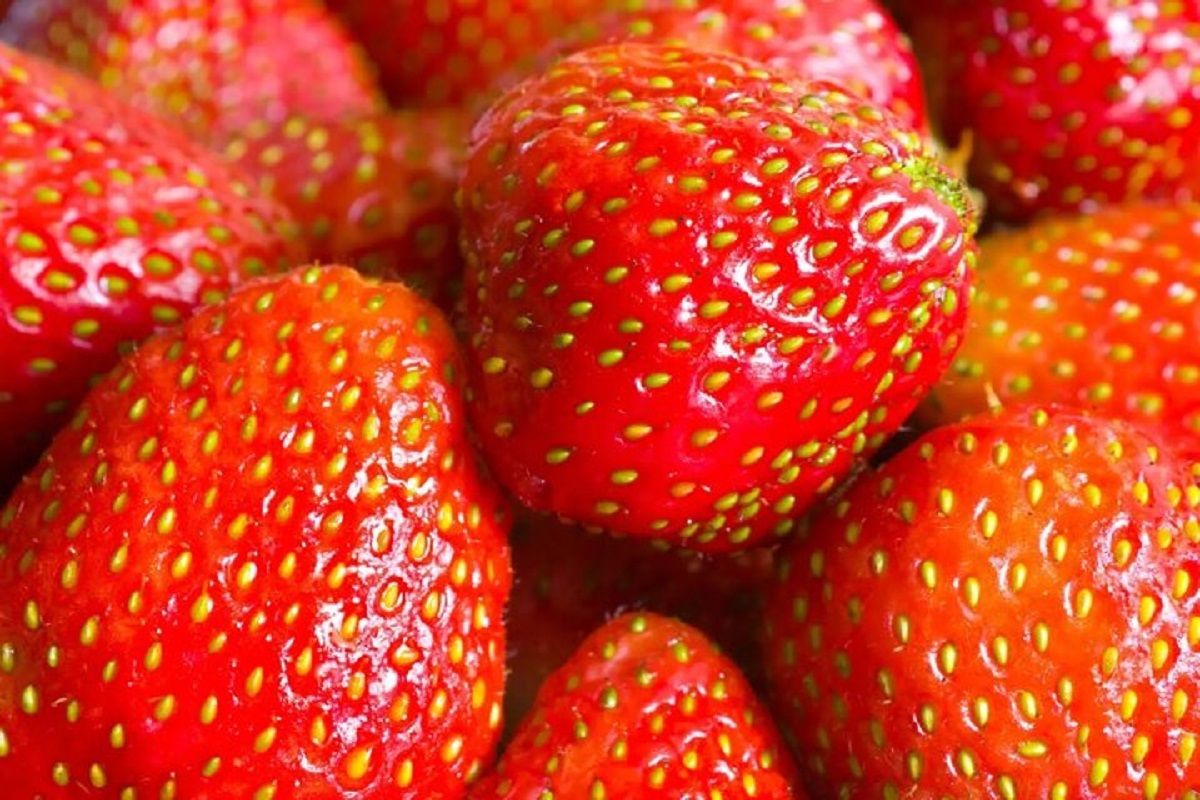 8 میوه قرمز که سلامتی را تقویت می کند