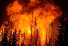 افزایش آتش سوزی در مناطق چهارگانه زیست محیطی در سال جاری