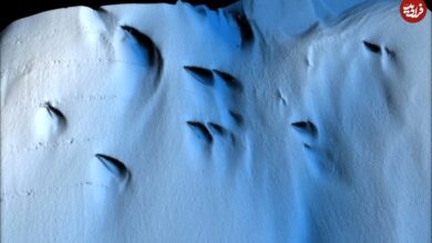 الگوهای عجیب کشف شده در زیر یخ های قطب جنوب (+ عکس)