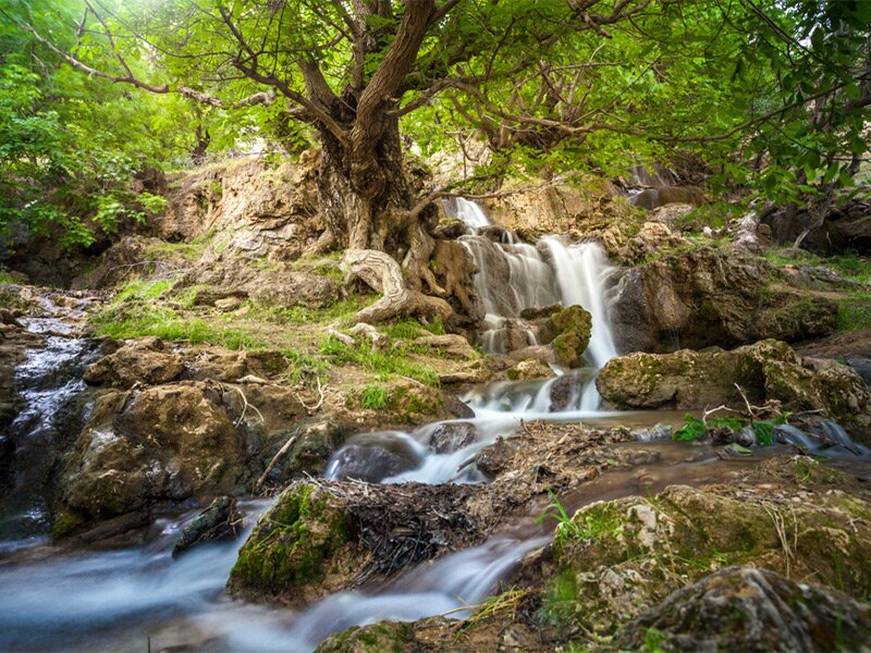 تابستان کجا بریم خنک باشد ؟ / ۱۰ منطقه خنک تهران برای سفر یک روزه در تابستان (+عکس)