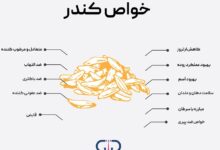 خواص کندر و طریقه مصرف آن که باید بدانید