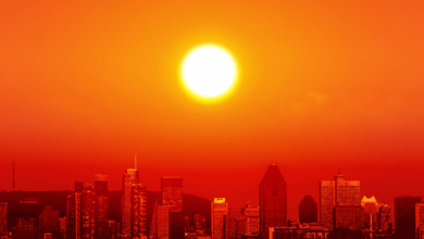 سالانه مرگ نیم میلیون نفر به دلیل گرمای شدید هوا