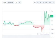 شگفتی‌سازی پتوشی در بحبوحه سقوط بازار! راز رشد ۲۰ درصدی PETOSHI چیست؟