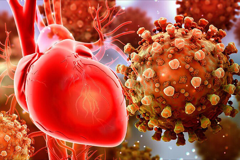 قلب افراد چاق بیشتر در معرض خطر لخته شدن خون است