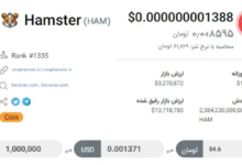 قیمت واقعی همستر امروز 16 مبارزه کن مرداد/ گرافیک