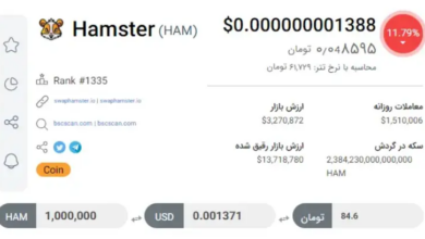 قیمت واقعی همستر امروز 16 مبارزه کن مرداد/ گرافیک