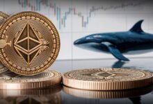 ethereum ico whale dumps another 5000 eth crash to worsen ramzarz min