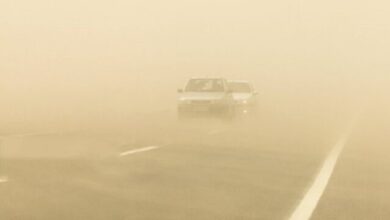 وزش باد شدید و گرد و خاک در جاده های 5 استان