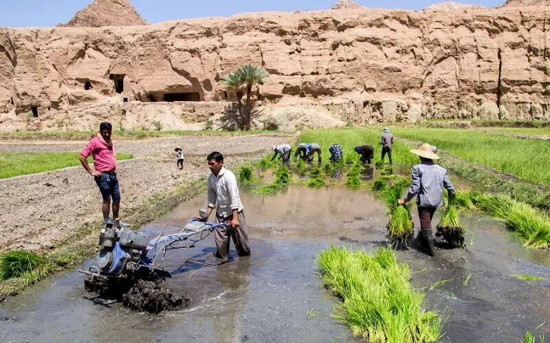 طبس روستایی در بهشت ​​کویری است