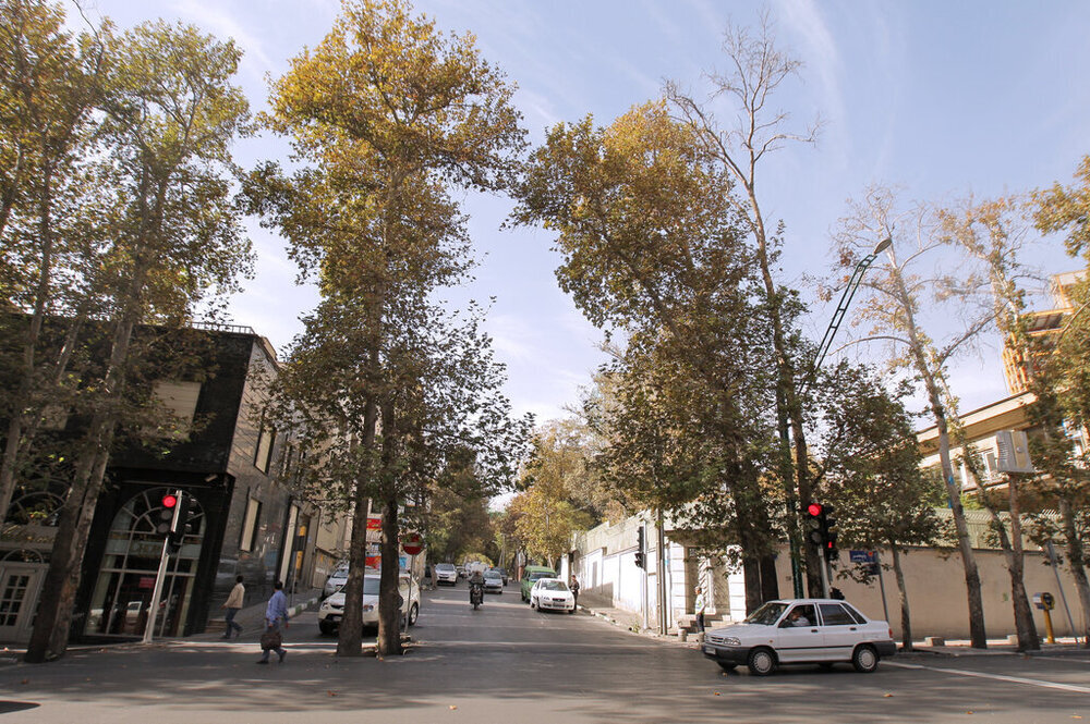 روستایی در تهران که به شهر برج تبدیل شده است عکس های دیروز و امروز از محله زعفرانیه که روزگاری به باغ های زیبایش معروف بود.