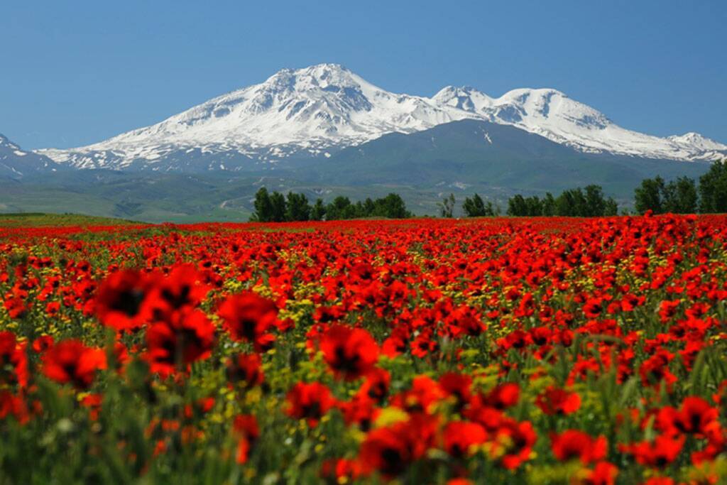 قله سبلان