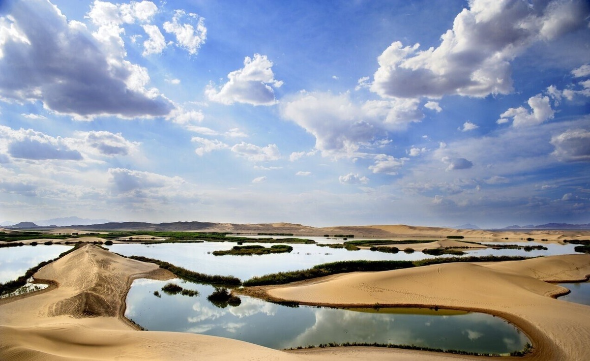 تنها تالاب دریایی ایران کجاست؟! (فیلم)