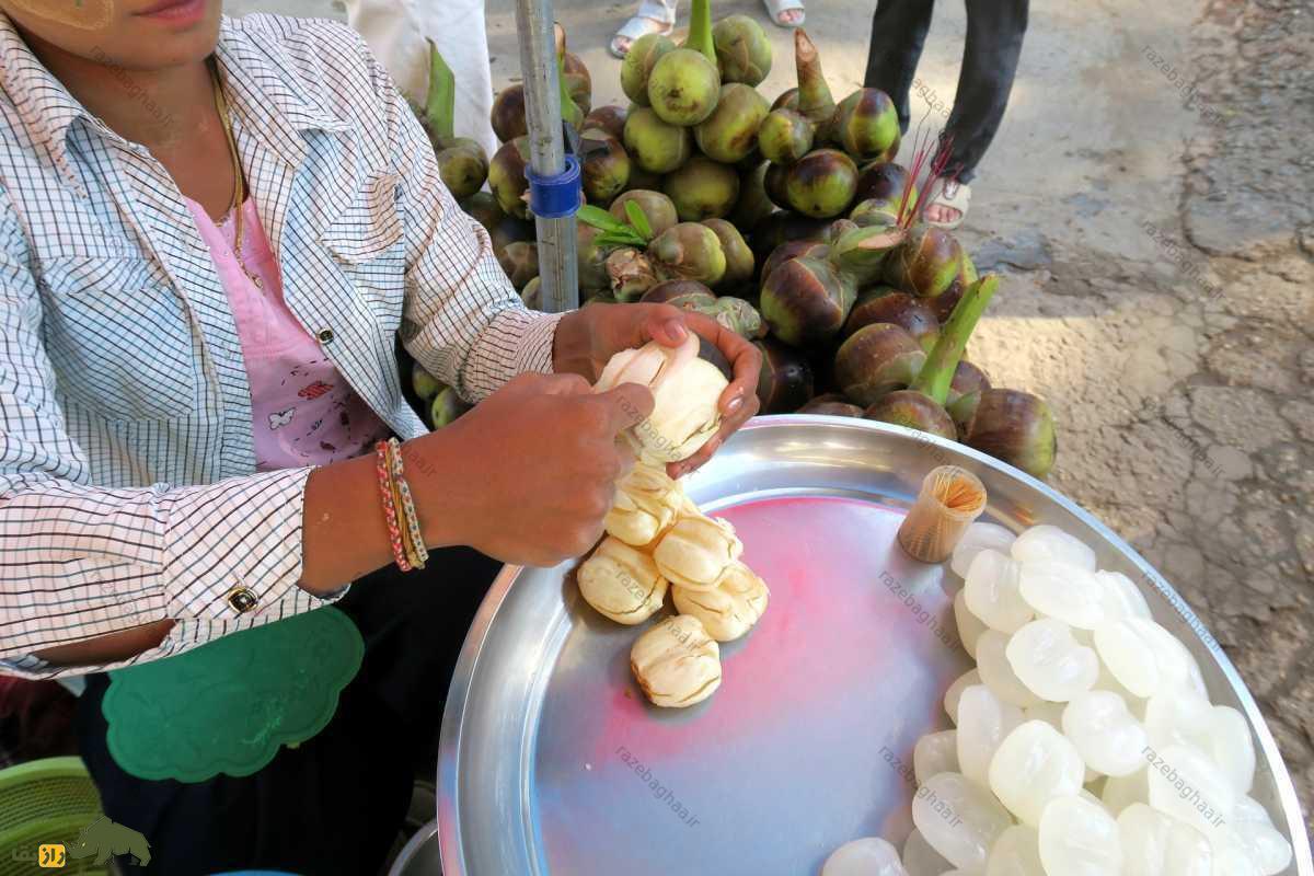 میوه پالمیرا یا سیب یخی؛ سوپر میوه‌ای که معجزه‌ درمان چاقی است