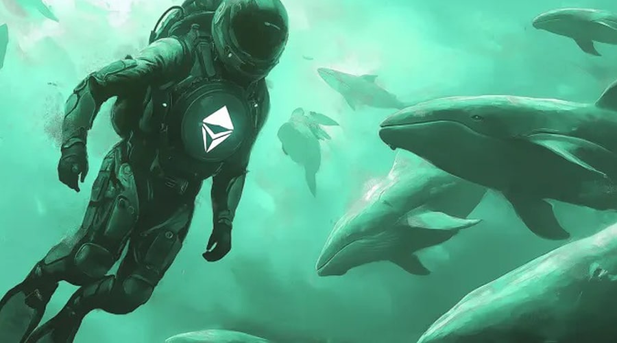 ethereum whale moves 1555 eth after 3 years heres what to expect ramzarz min