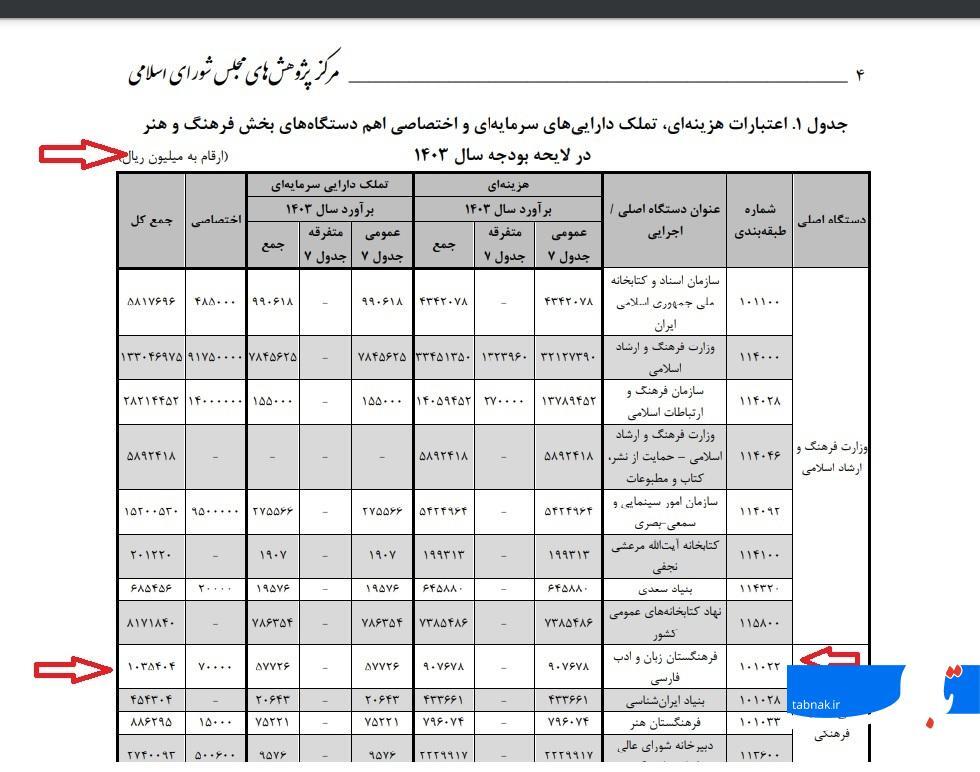 درباره پیر فرهنگستان زبان و ادب فارسی؛ بودجه سالانه برای کلمه 