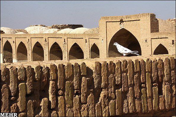 عکس کنسرت نامتعارف پرستو احمدی کجا ضبط شد؟ | فوتبال روزانه