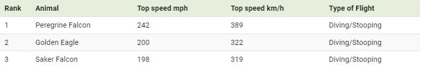 رتبه‌بندی سریع‌ترین پرندگان جهان بر اساس حداکثر سرعت (+ اینفوگرافی)