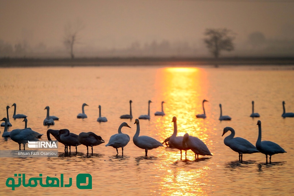 Fereydonkar در زمستان ؛ شهر باستان ایران از عصر برنز 1 تالاب Fereidunkar