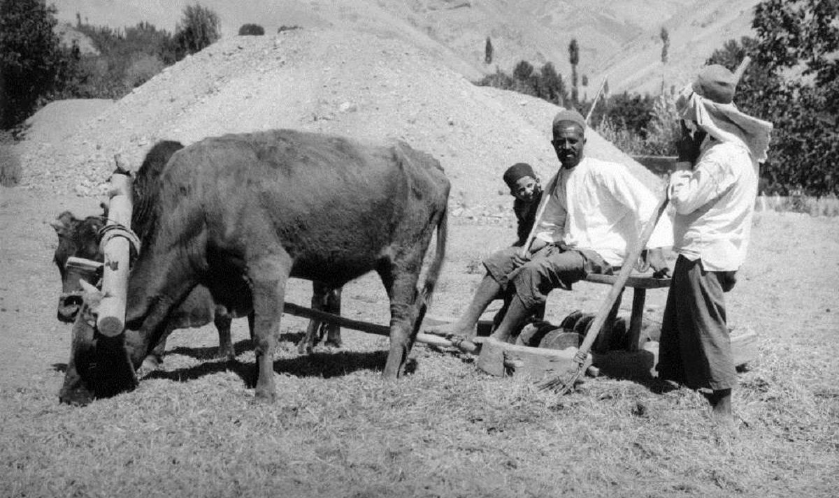 سفر به تهران قدیم; سابقه دامداری در فرحزاد چه بوده است؟