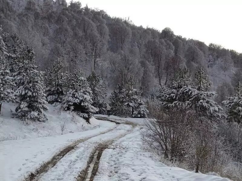 روستای درازنو ؛ طبیعتی بکر روی ابرها