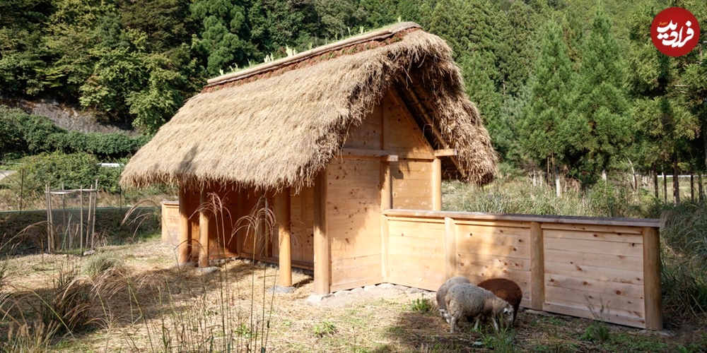 (تصاویر) معماری ویژه با الهام از معماری سنتی "گوسفند" 1 5