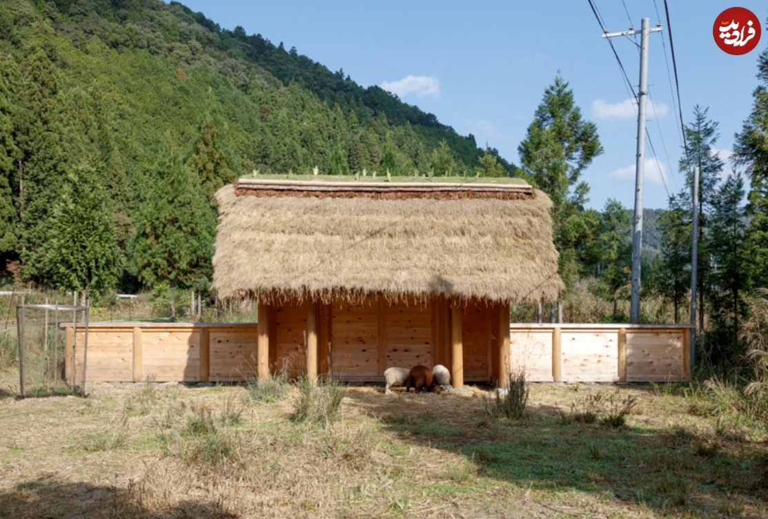 (تصاویر) معماری ویژه با الهام از معماری سنتی "گوسفند" 2 (تصاویر) معماری ویژه با الهام از معماری سنتی "گوسفند"