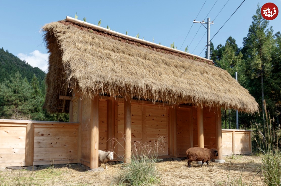 (تصاویر) معماری ویژه با الهام از معماری سنتی "گوسفند" 3 00
